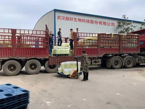 疫情之下,武漢江夏正在經(jīng)歷著什么